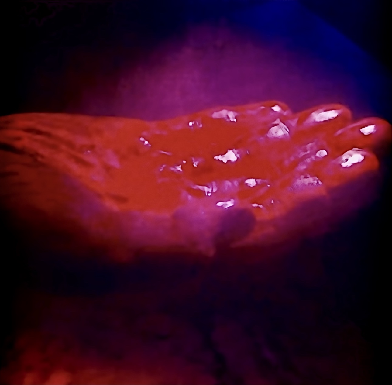 Blood on Your Hands