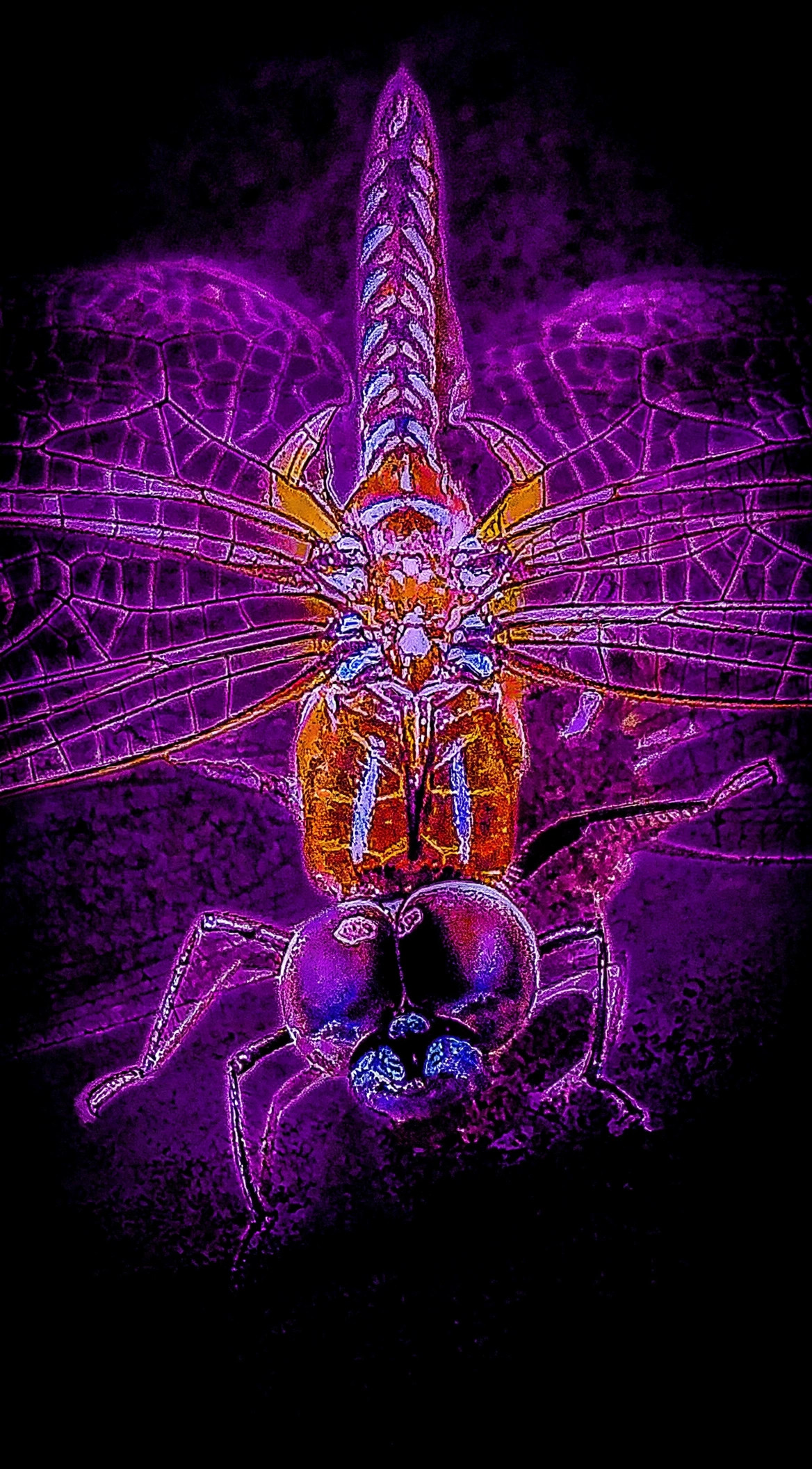 GQ Dragonfly