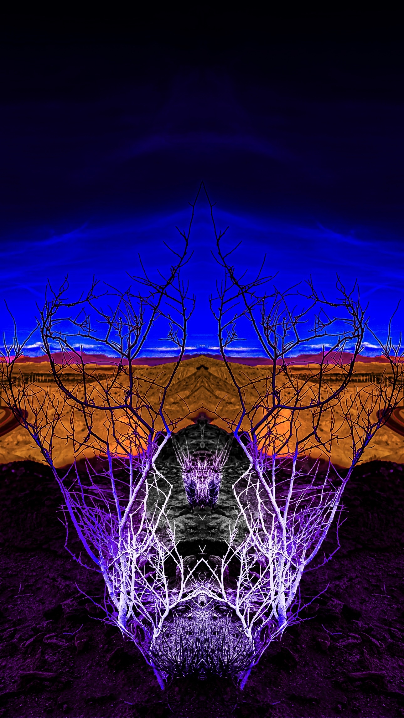 I Dream of God in the Mohave